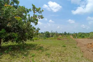 Msabaha Plots