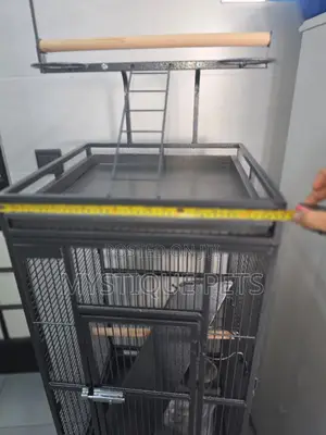African Grey Parrot Cage