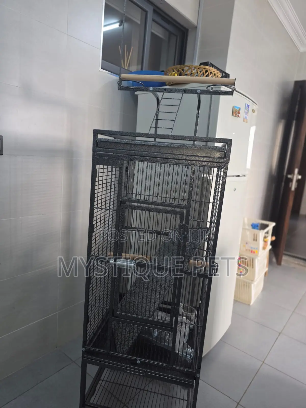 African Grey Parrot Cage