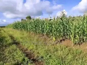 Malindi Land for Sale