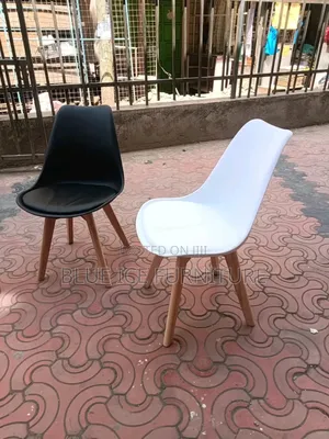 Padded Plastic Salon Chair