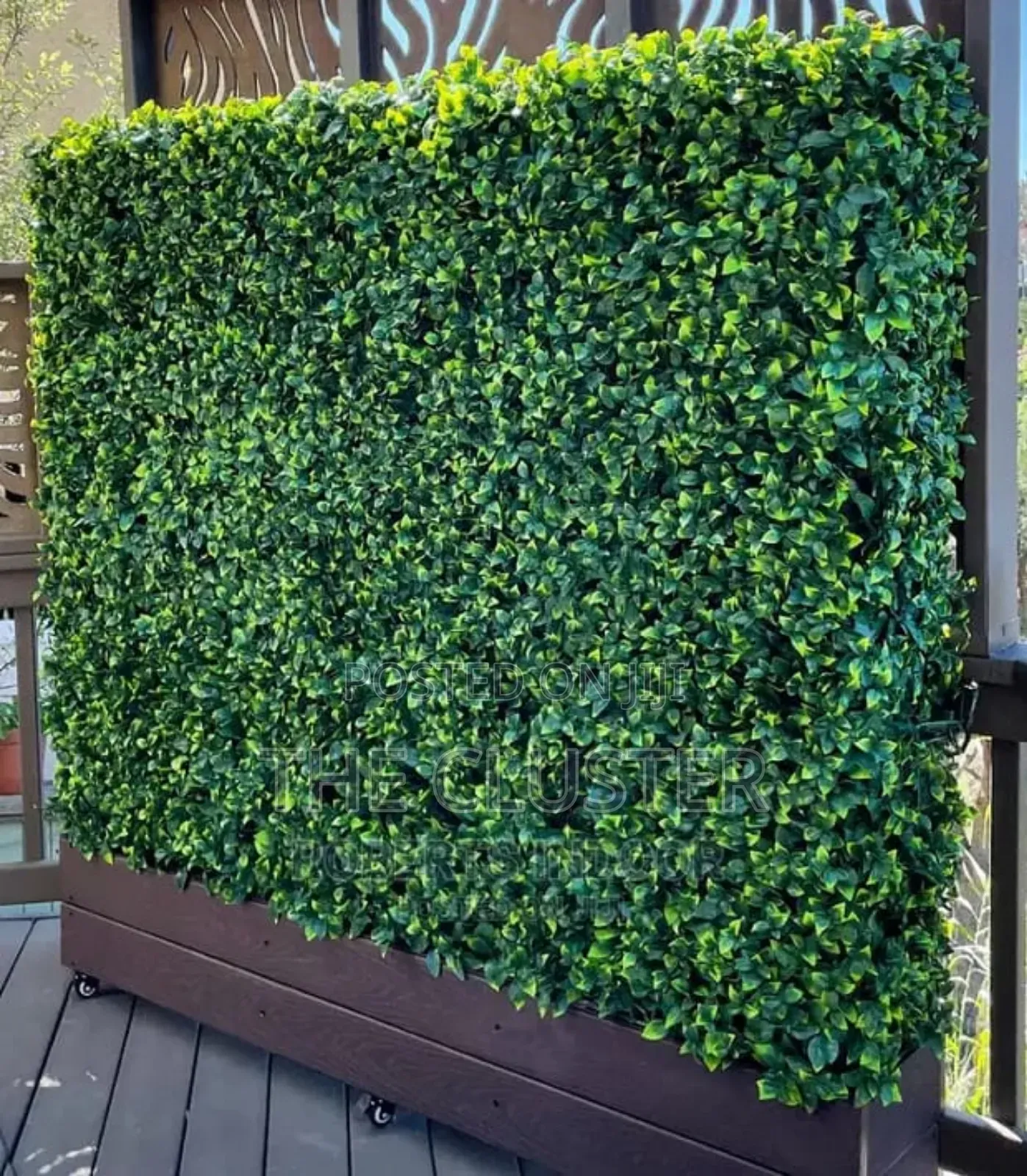 40*60 Hedge Panels for Studios Decorations