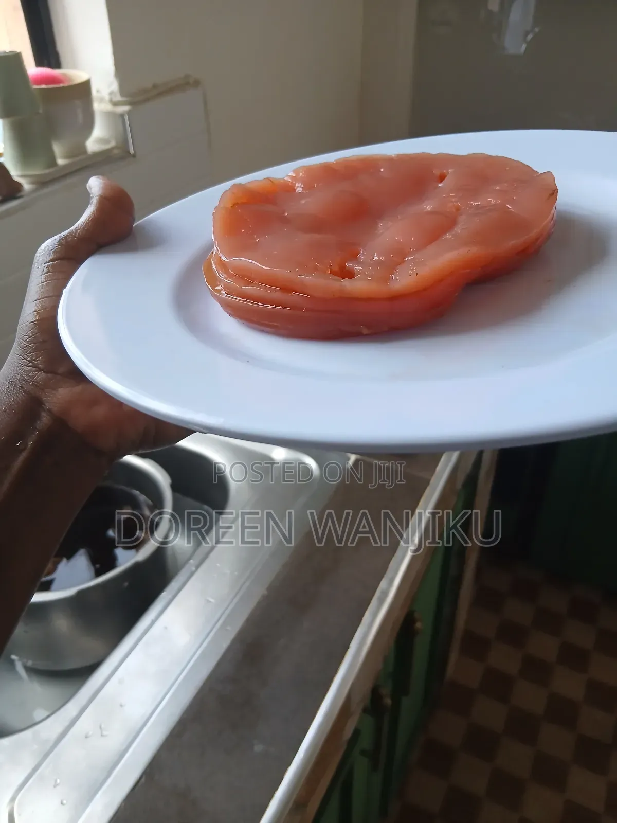 Kombucha Scoby