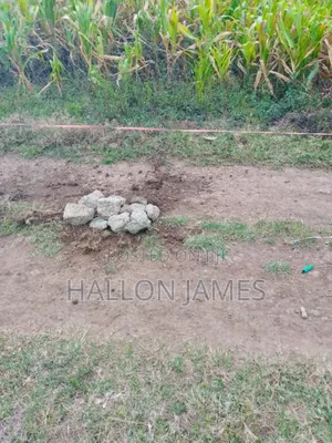 Nakuru East Gate Dioni Plot 50x100