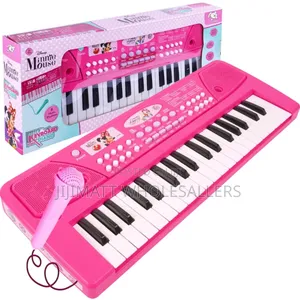 Professional Piano With in Built Battery