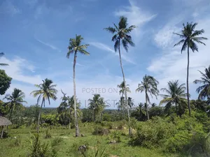 Uninterrupted Panoramic Ocean View Plot