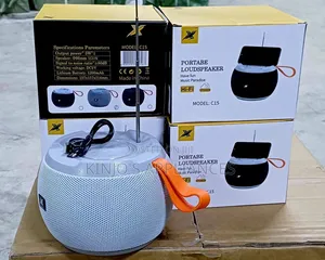 Speaker C15