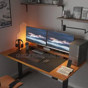 Imported Ergonomic Electric Adjustable Table