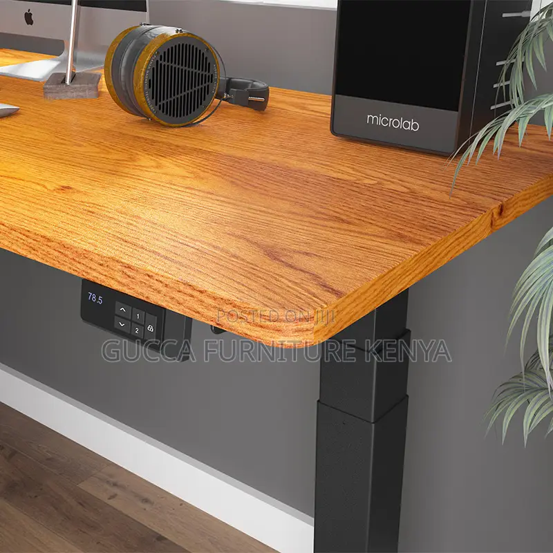 Imported Ergonomic Electric Adjustable Table