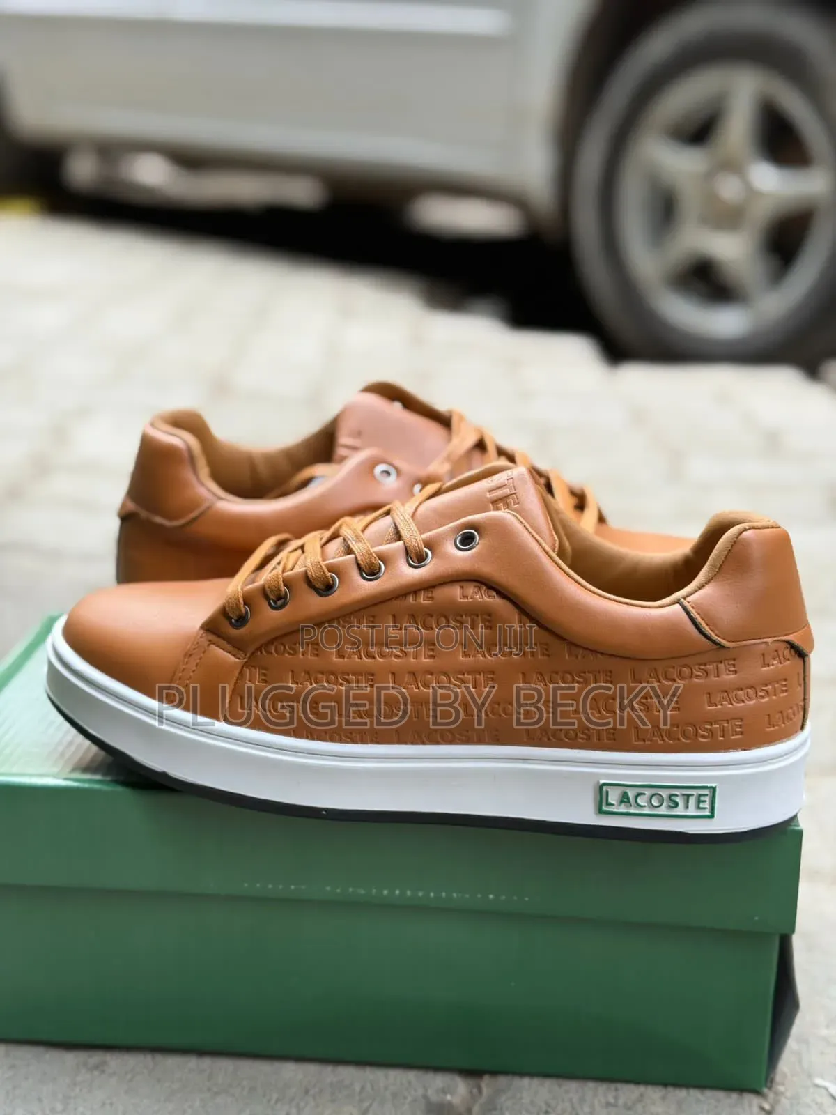 Lacoste Casual