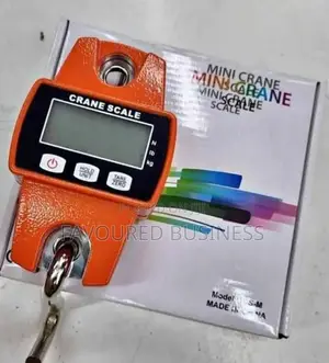 Accurate 300kg Crane Scale