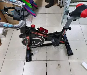 Spin Bike/Gym Bike