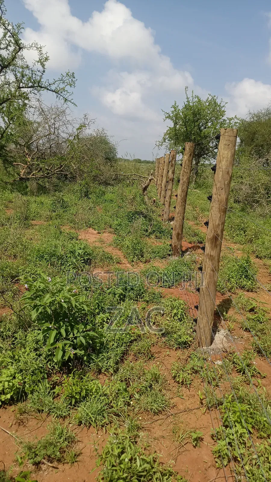 Fence Installation