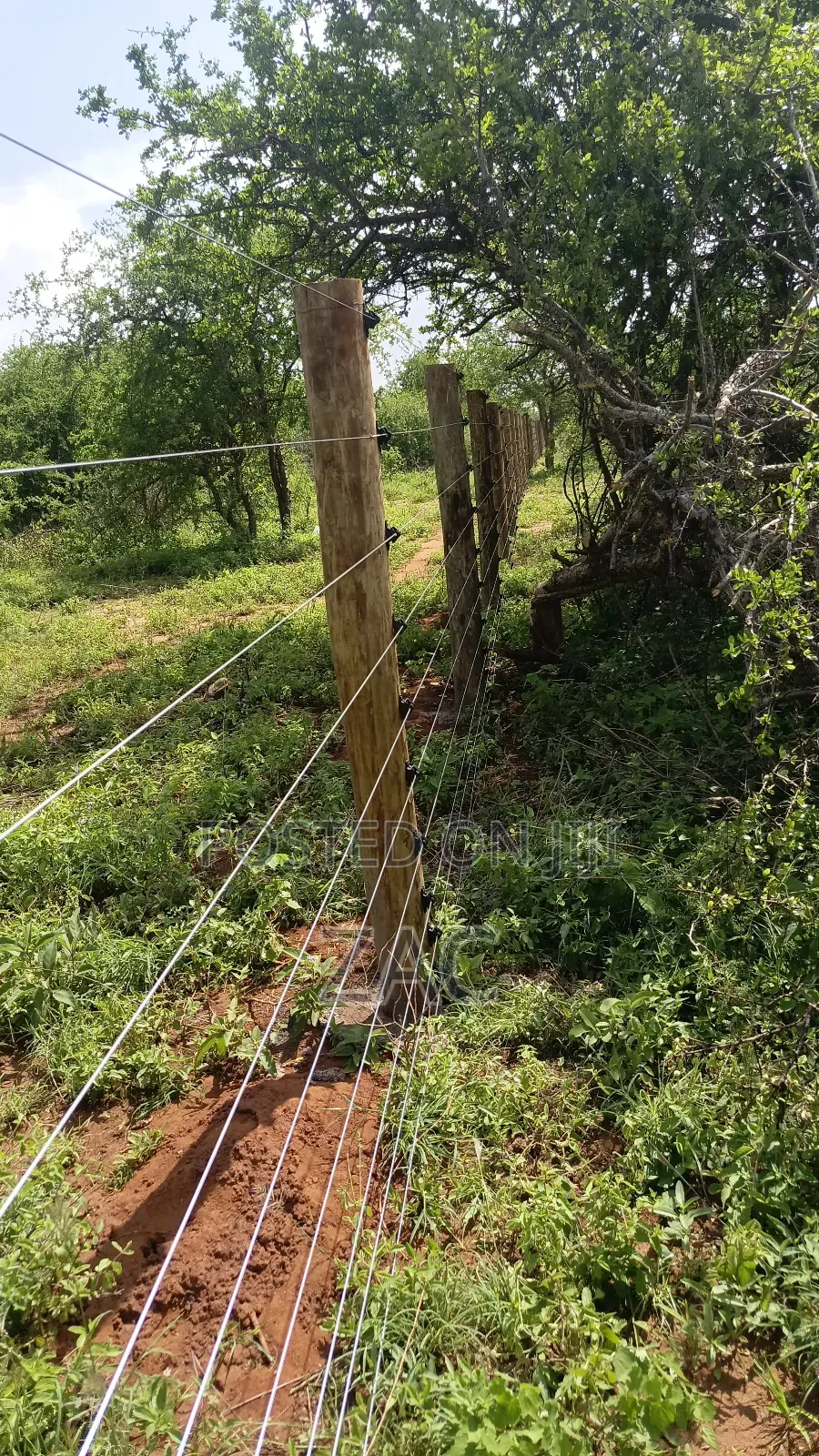 Fence Installation
