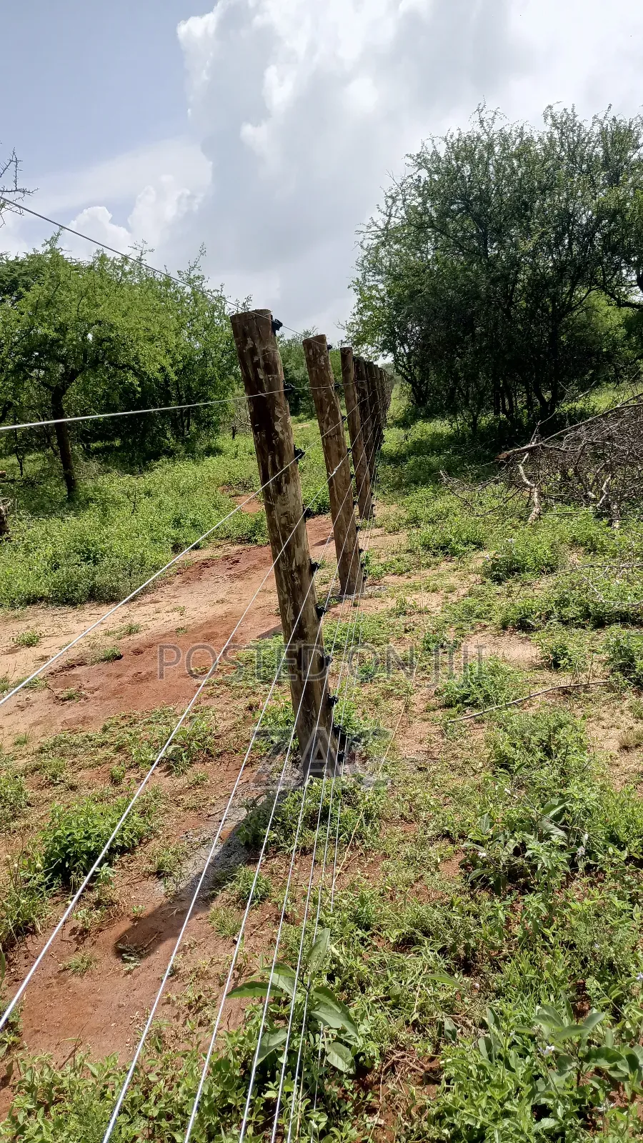 Fence Installation