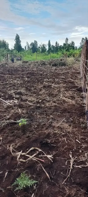 50*100 Plot at Kiaga/ Kirimunge/ Njega/ Baricho Junction