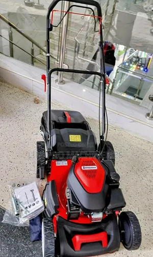 Premier Self-Propelled 196cc Petrol Lawnmower