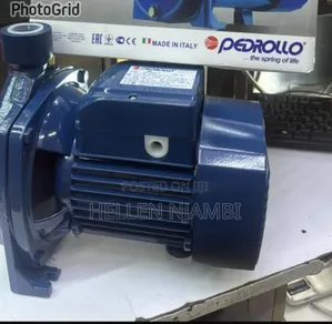 1hp Pedrollo Electric Surface Water Pump