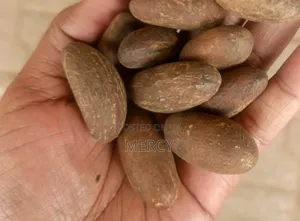 Bitter Kola Nuts