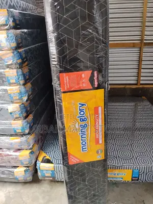 Mattress - High Density 5×6×10, Morning Glory, Foam Mattress