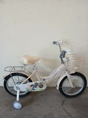 Lady Bike Size 16