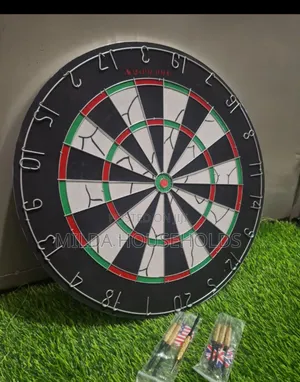 Professional Dart Board