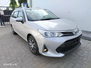 Toyota Corolla Fielder 2019 Silver