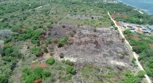 1⁄2 Acre Plots (10 Available) Beachfront Plots