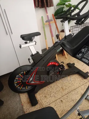 Commercial 11 Gears Spin Bike