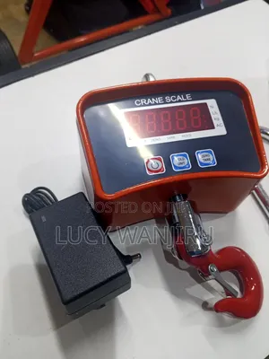 Well Performing 500 Kg Crane Scale