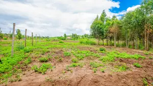 Prime Residential Plots for Sale in Kikuyu, Kamangu (Ndiguini Area)