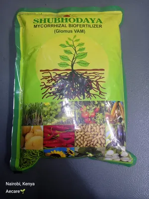 Shubhodaya Mycorrhizal Bio Fertilizer (Glomus Vam) 1kg