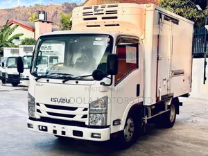 Isuzu Elf Truck