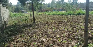 100*100 Plot for Sale in Lussigetti, Kikuyu