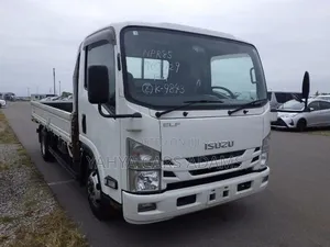 Isuzu Elf 2017