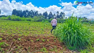 Kikuyu Plots for Sale