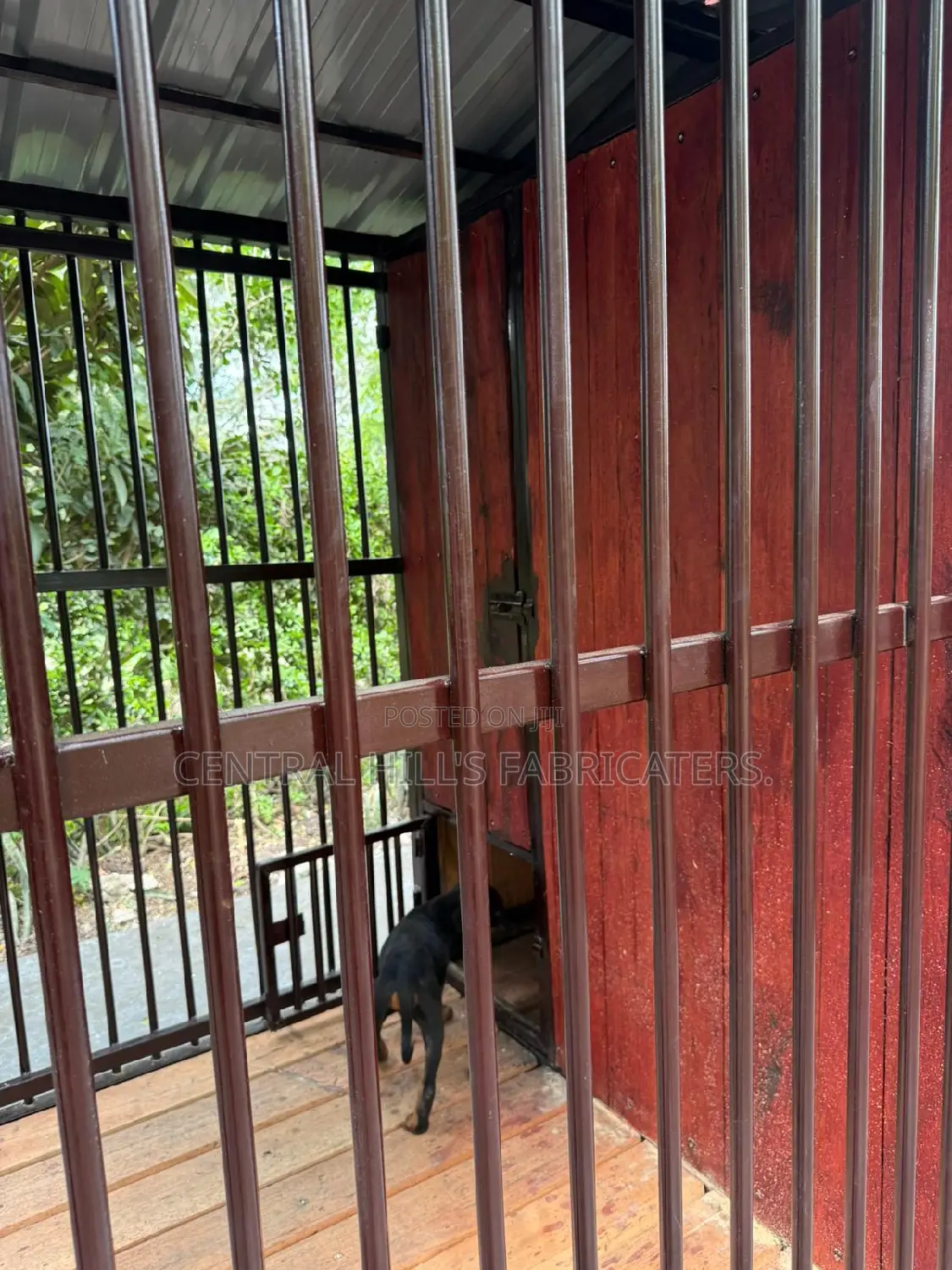 Dog Kennel