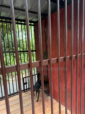 Dog Kennel