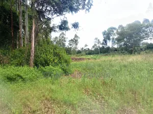 2 Acres and 1 Acreas on Sale
