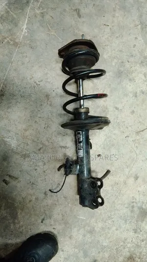Nze Front Shocks