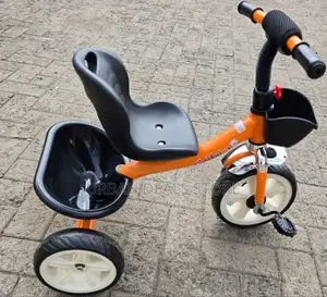 Executive Kids Tricycle Available in Different Print
