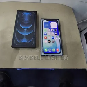 Apple iPhone 12 Pro Max 256 GB Blue