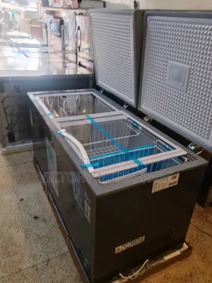 Roch 500litres Double Door Freezer