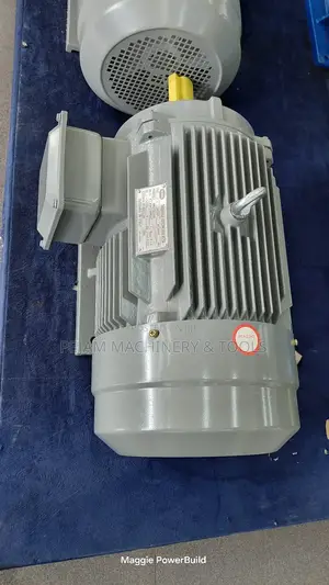 Heavy-Duty STCL Italy 160l-4 20hp Three Phase 1450rpm Electric Motor