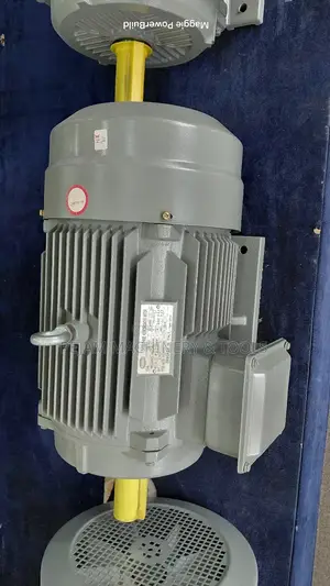 Y160l-2 25hp STCL Italy Three Phase High Speed Motor 2900rpm