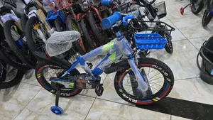 Kid's Bicycle Size 16 Strong Frame