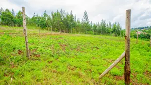 Prime Residential Plots for Sale in Kikuyu, Kamangu.