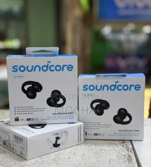 Anker Soundcore C50i Open Ear Earbuds