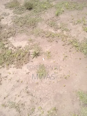 50 X 100 Plot Naivasha Kinamba
