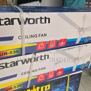 Starworth Ceiling Fan 24 Inches